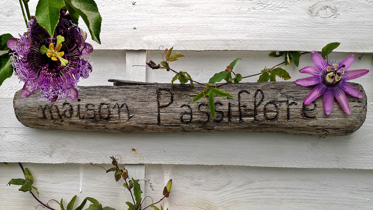 Maison Passiflore gravé sur bois flotté et  fleurs de Passiflore